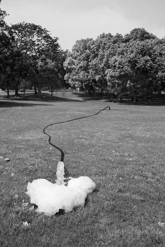 Wastewater Reuse: Irrigating Lodi Garden lawns with recycled wastewater in South-East district, National Capital Territory of Delhi